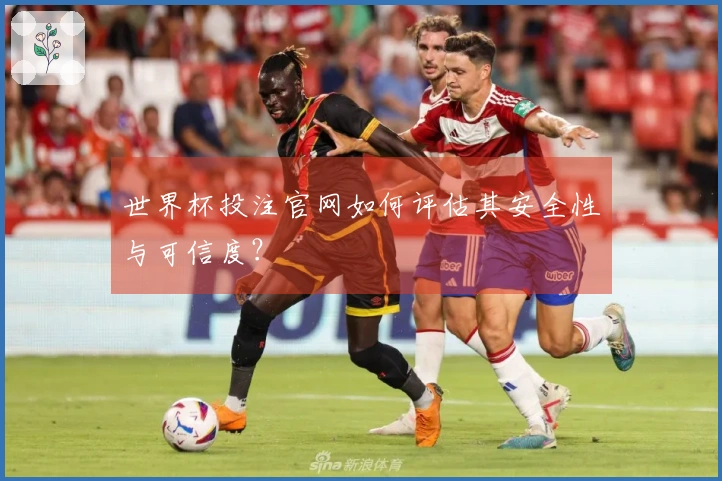 世界杯投注官网如何评估其安全性与可信度？