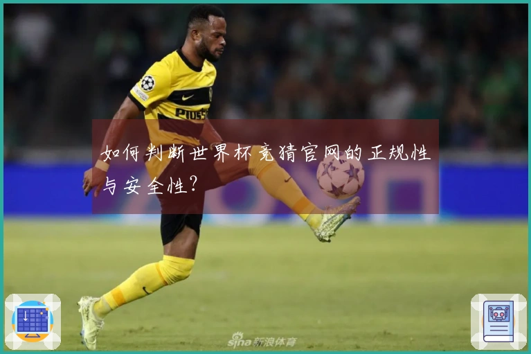 如何判断世界杯竞猜官网的正规性与安全性？