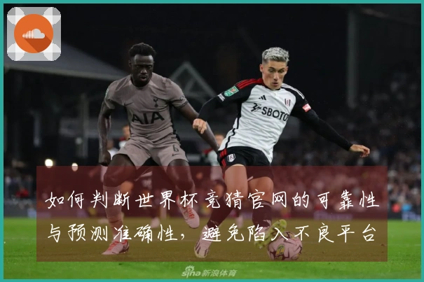如何判断世界杯竞猜官网的可靠性与预测准确性，避免陷入不良平台？