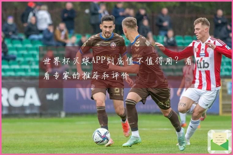 世界杯买球APP到底值不值得用？看看专家的推荐和评价