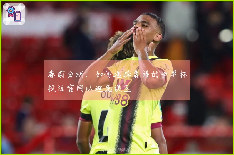 赛前分析：如何选择靠谱的世界杯投注官网以避免误区