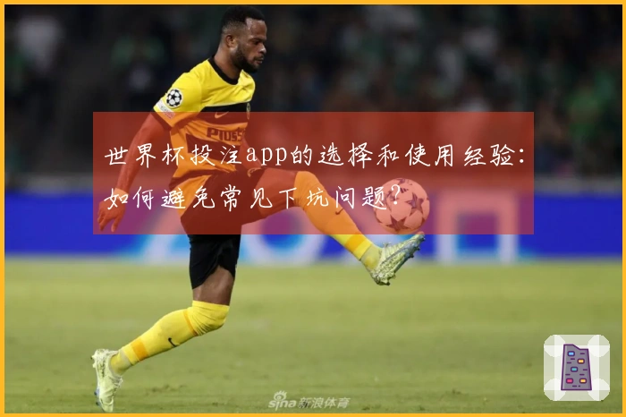 世界杯投注app的选择和使用经验：如何避免常见下坑问题？