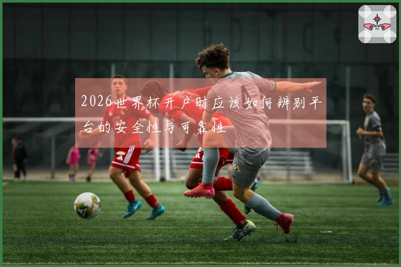 2026世界杯开户时应该如何辨别平台的安全性与可靠性