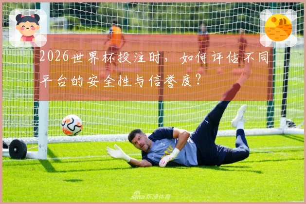 2026世界杯投注时，如何评估不同平台的安全性与信誉度？