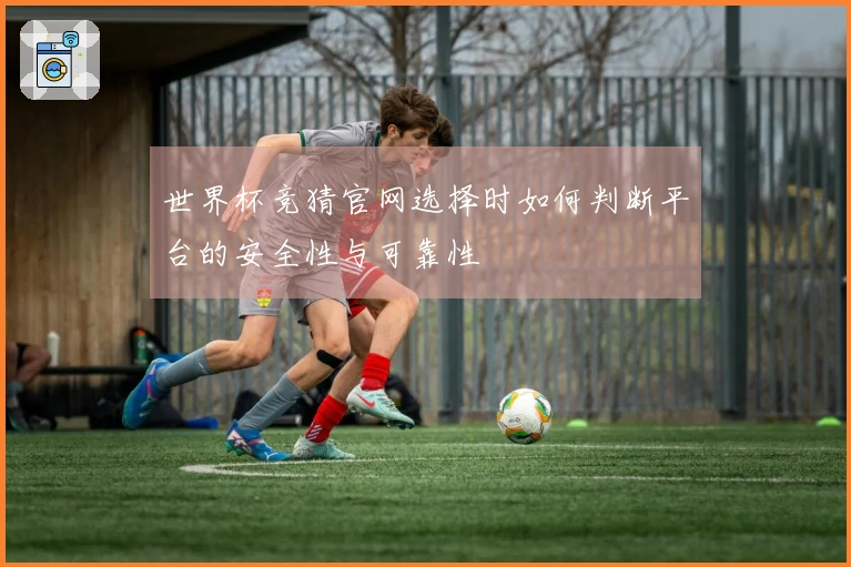 世界杯竞猜官网选择时如何判断平台的安全性与可靠性