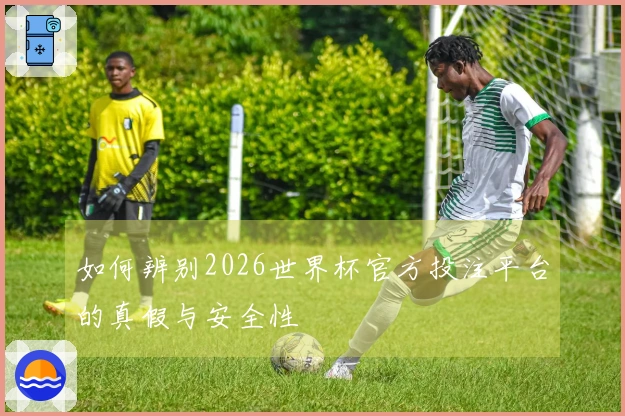 如何辨别2026世界杯官方投注平台的真假与安全性