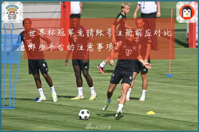 世界杯冠军竞猜账号注册前应对比哪些平台的注意事项？