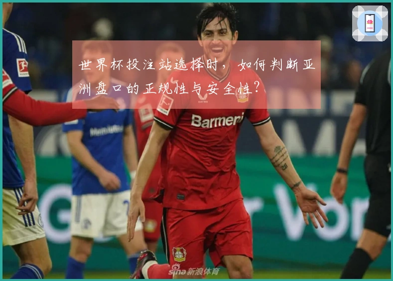 世界杯投注站选择时，如何判断亚洲盘口的正规性与安全性？