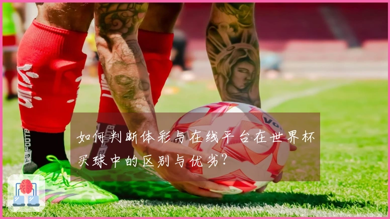 如何判断体彩与在线平台在世界杯买球中的区别与优劣？