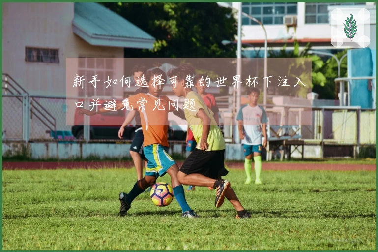 新手如何选择可靠的世界杯下注入口并避免常见问题