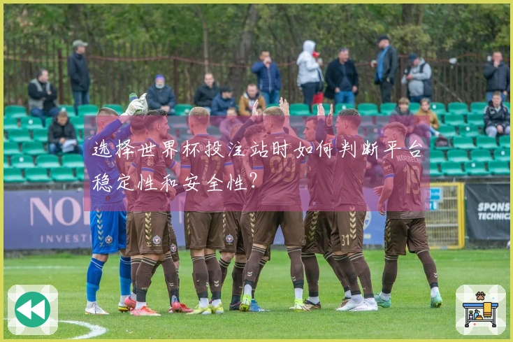 选择世界杯投注站时如何判断平台稳定性和安全性？