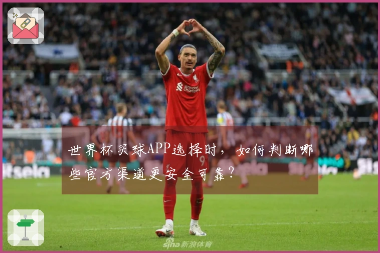 世界杯买球APP选择时，如何判断哪些官方渠道更安全可靠？