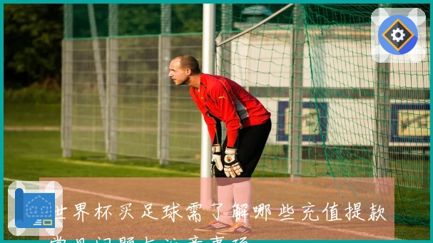 世界杯买足球需了解哪些充值提款常见问题与注意事项