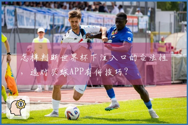 怎样判断世界杯下注入口的合法性，选对买球APP有何技巧？