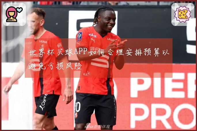 世界杯买球APP如何合理安排预算以避免亏损风险