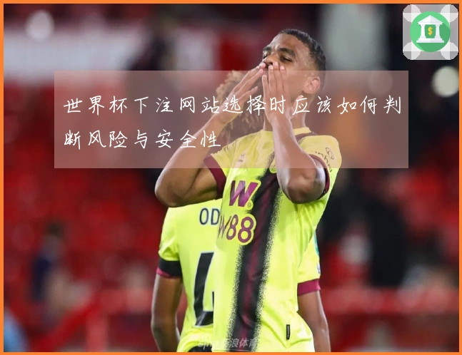 世界杯下注网站选择时应该如何判断风险与安全性