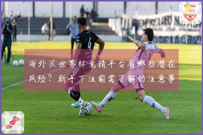 海外买世界杯竞猜平台有哪些潜在风险？新手下注前需了解的注意事项