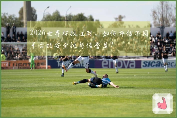 2026世界杯投注时，如何评估不同平台的安全性与信誉度？