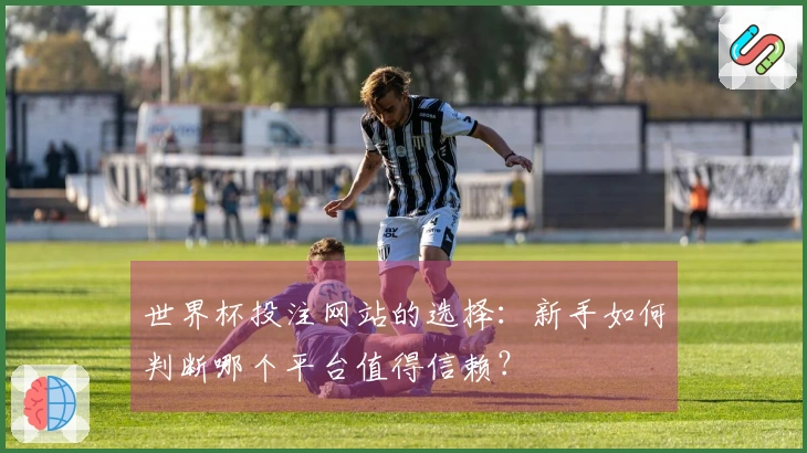 世界杯投注网站的选择：新手如何判断哪个平台值得信赖？
