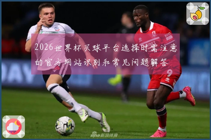 2026世界杯买球平台选择时需注意的官方网站识别和常见问题解答