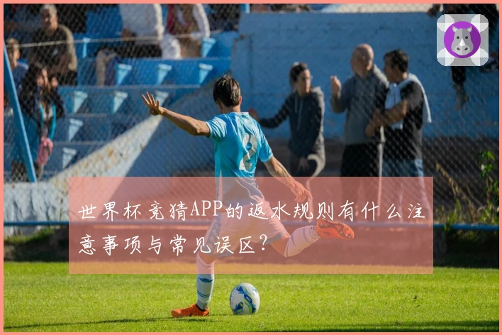 世界杯竞猜APP的返水规则有什么注意事项与常见误区？