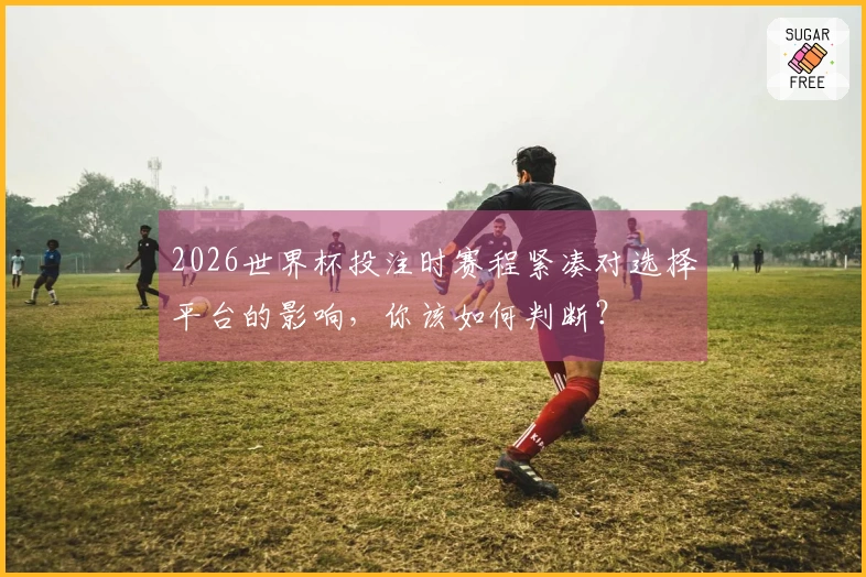 2026世界杯投注时赛程紧凑对选择平台的影响，你该如何判断？