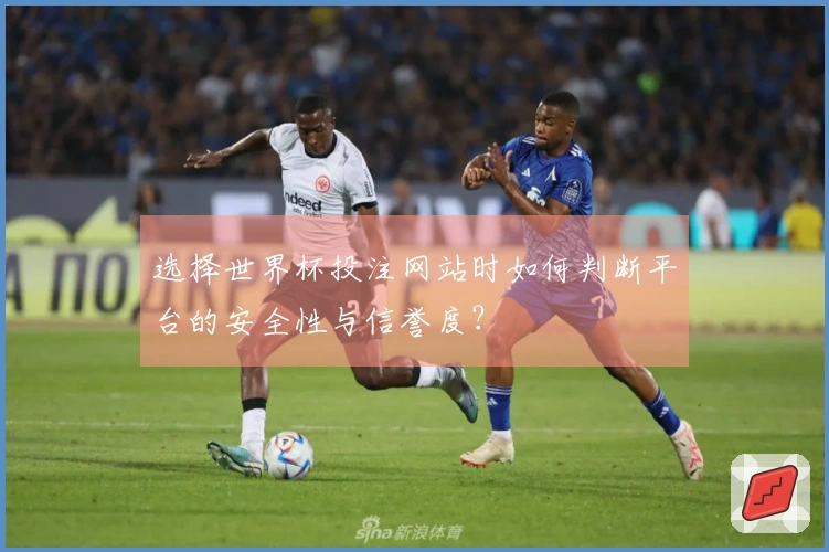 选择世界杯投注网站时如何判断平台的安全性与信誉度？