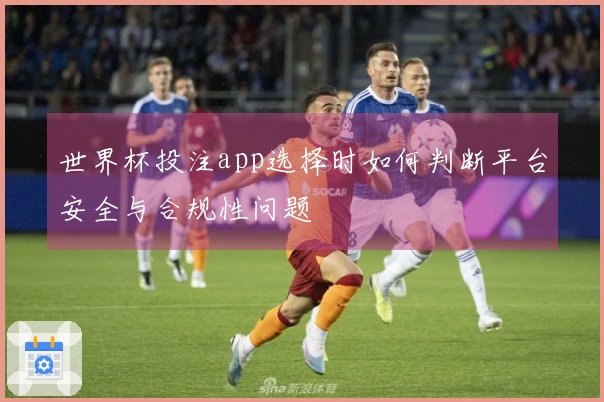 世界杯投注app选择时如何判断平台安全与合规性问题