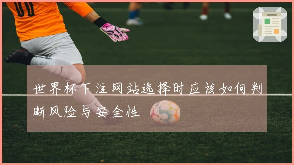 世界杯下注网站选择时应该如何判断风险与安全性