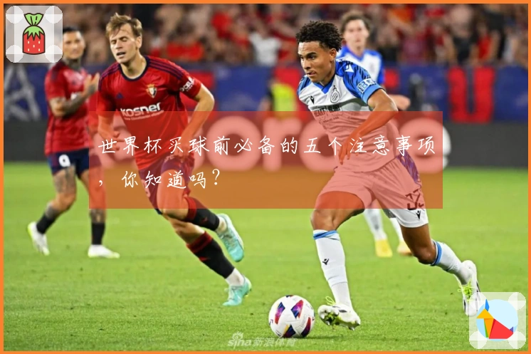 世界杯买球前必备的五个注意事项，你知道吗？