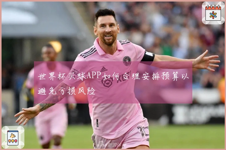 世界杯买球APP如何合理安排预算以避免亏损风险