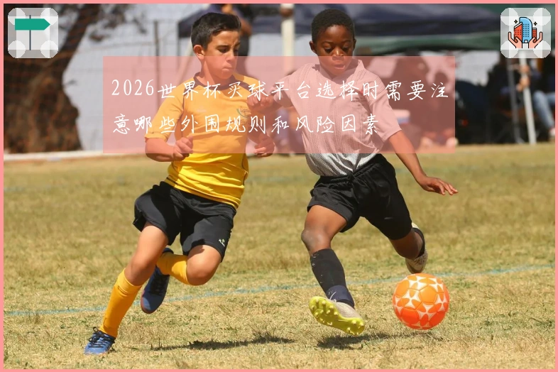 2026世界杯买球平台选择时需要注意哪些外围规则和风险因素
