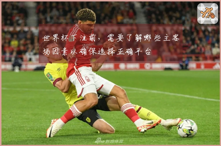 世界杯下注前，需要了解哪些主客场因素以确保选择正确平台