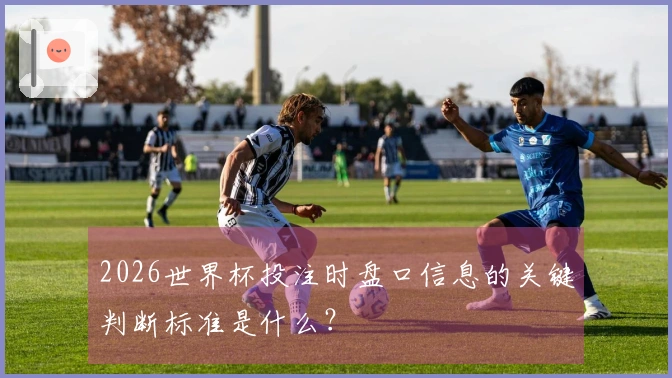 2026世界杯投注时盘口信息的关键判断标准是什么？