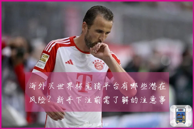 海外买世界杯竞猜平台有哪些潜在风险？新手下注前需了解的注意事项